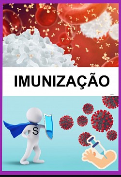 Imunização